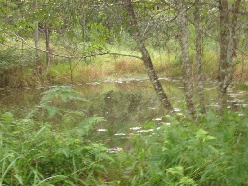 1820 South Arm Rd, Bowraville NSW 2449