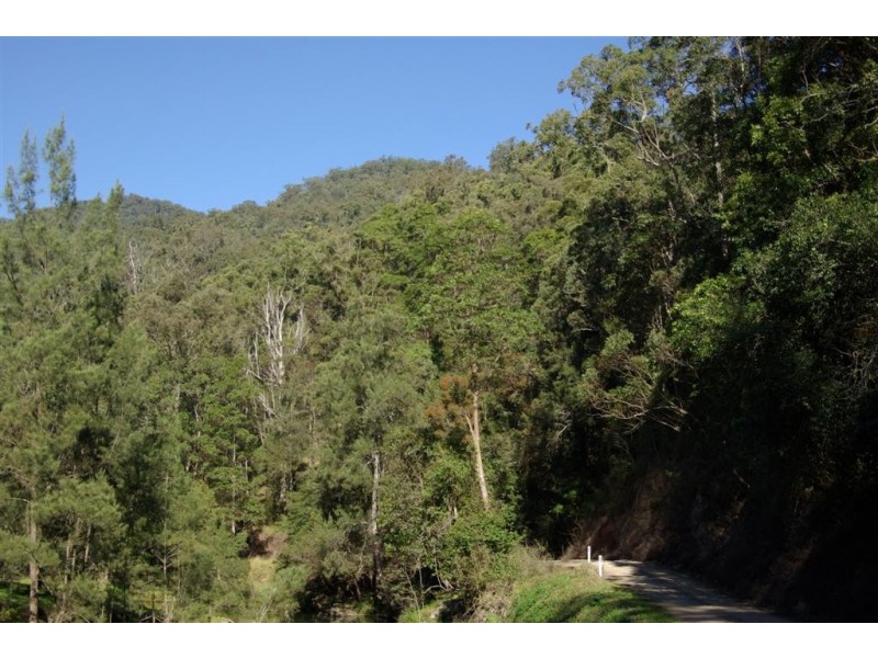 Lot 19 Upper Buckra Bendinni, Bowraville NSW 2449
