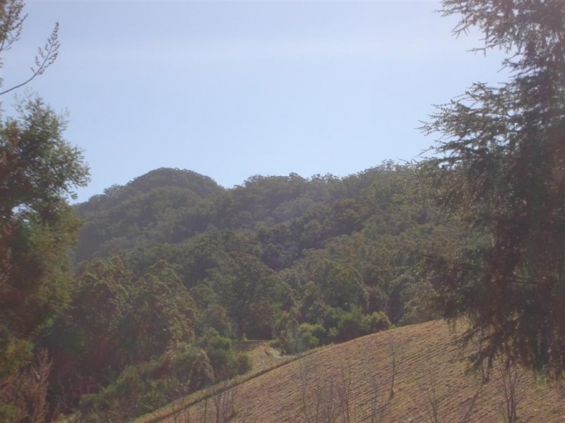 1290 Missabotti Rd, Bowraville NSW 2449