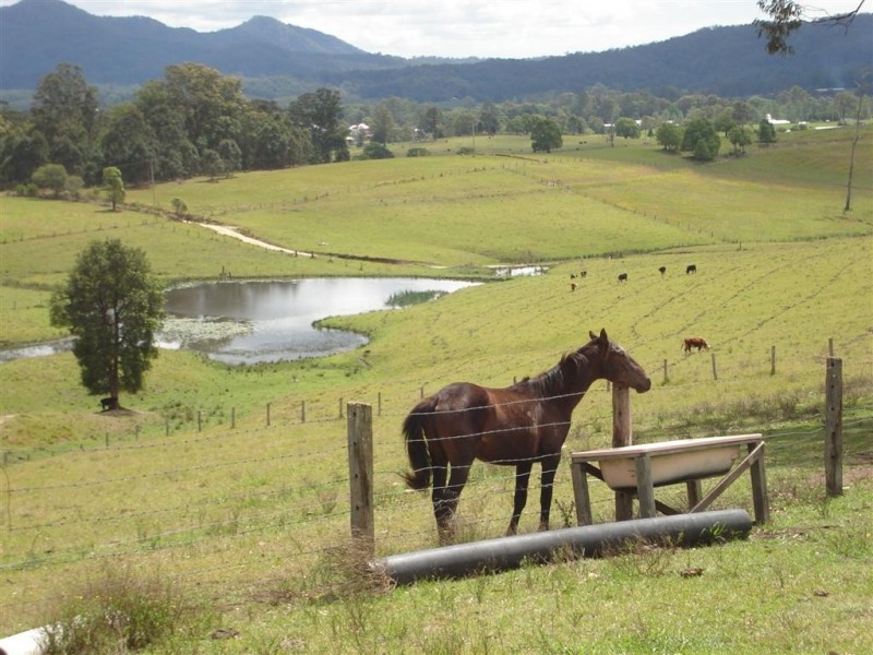 167 Gumbayngirr Rd, Bowraville NSW 2449