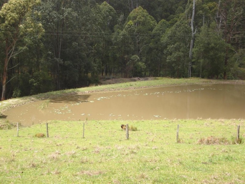 167 Gumbayngirr Rd, Bowraville NSW 2449