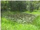 Lot 114 South Arm Rd, Bowraville NSW 2449