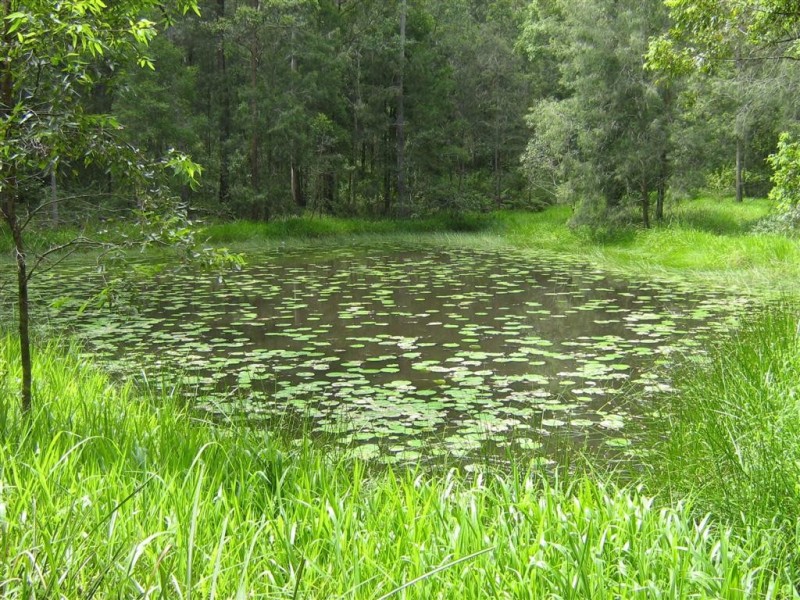 Lot 114 South Arm Rd, Bowraville NSW 2449