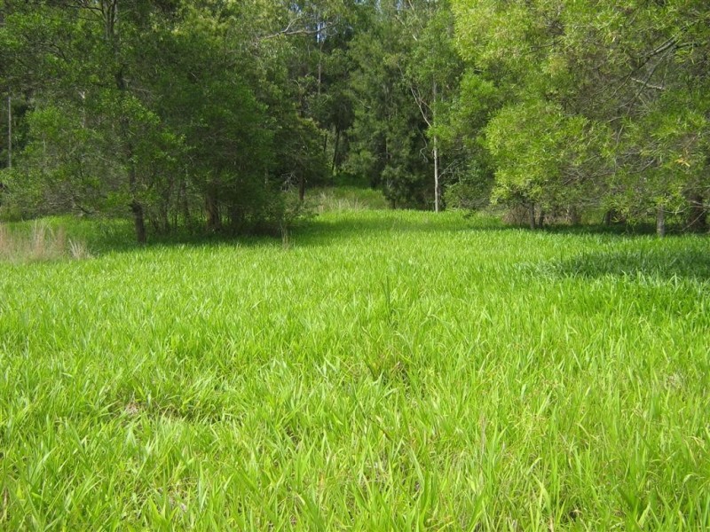 Lot 114 South Arm Rd, Bowraville NSW 2449