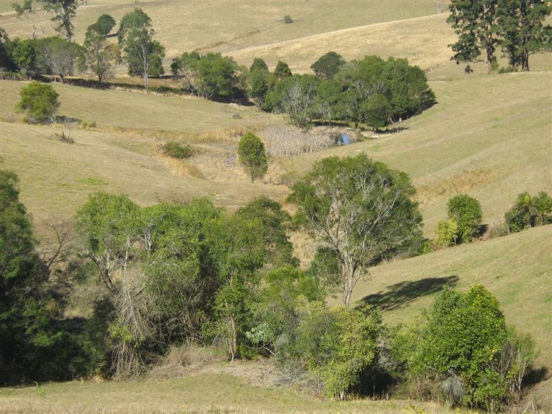 147 Lower Buckra Bendinni, Bowraville NSW 2449