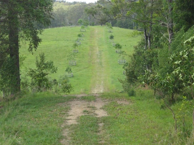 Lot 43 Smith’s Lane, Congarinni North NSW 2447