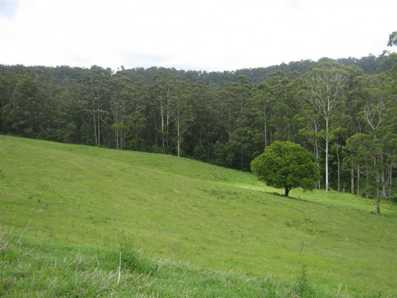 Lot 43 Smith’s Lane, Congarinni North NSW 2447
