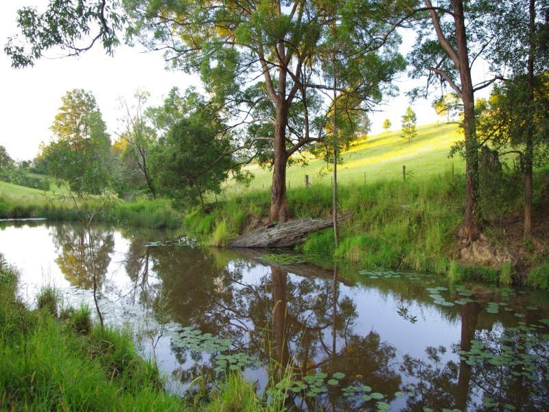 Lot 3 Rhones Ck Rd, Congarinni North NSW 2447