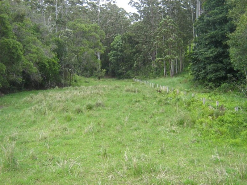 Congarinni North NSW 2447