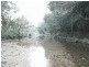 Buckra Bendinni NSW 2449