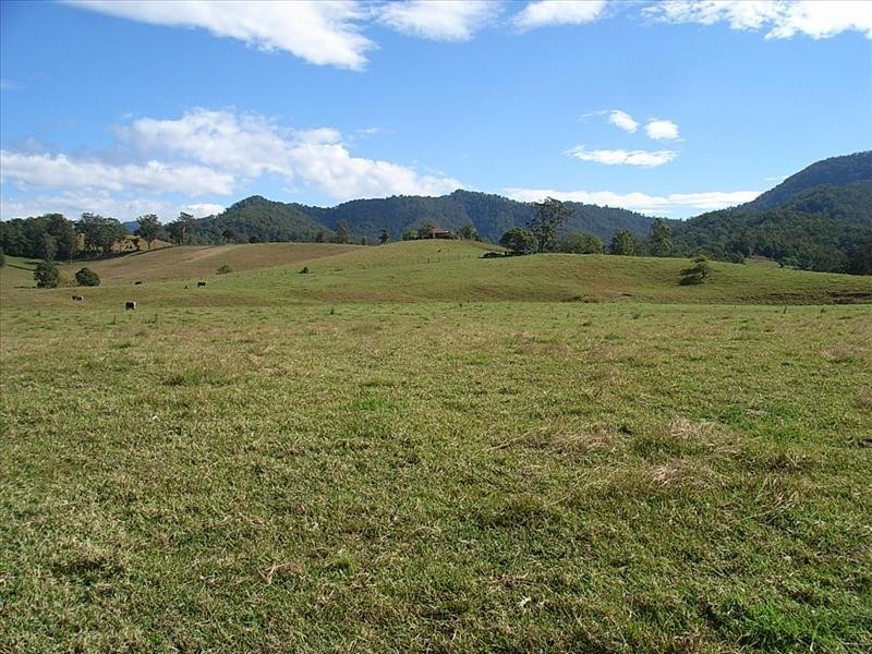 South Arm NSW 2449