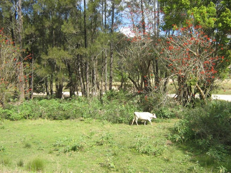 Argents Hill NSW 2449