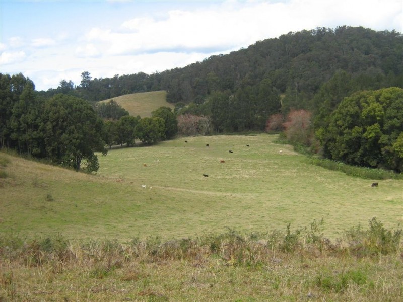 Argents Hill NSW 2449