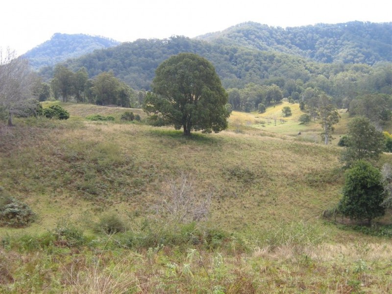 Argents Hill NSW 2449