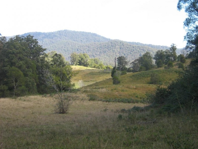 Argents Hill NSW 2449