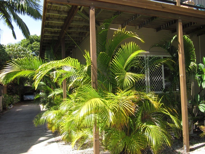 34 ARMRICK AVE, Broadbeach QLD 4218