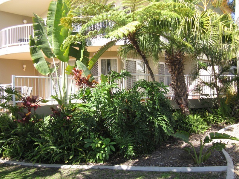 53/16 CRESENT AVE, Mermaid Beach QLD 4218