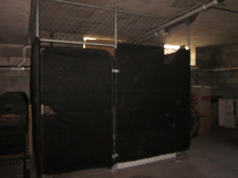 5/14 PEERLESS AVE, Mermaid Beach QLD 4218