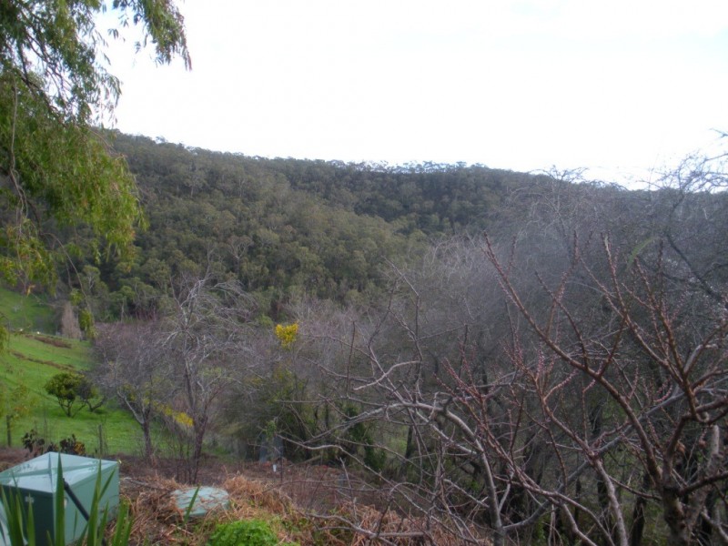 9 Crescent Drive, Norton Summit SA 5136