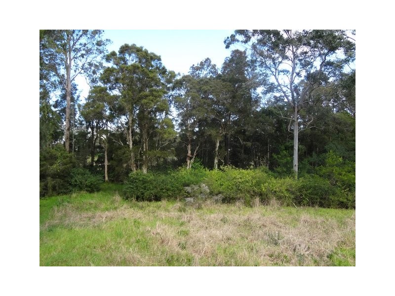 33 River Street, Springfield NSW 2250