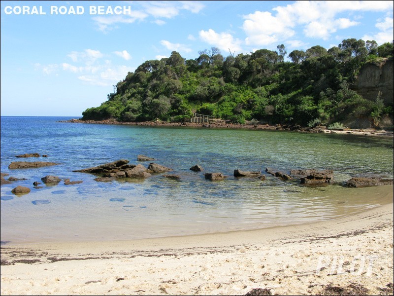 110 Prince Street, Mornington VIC 3931