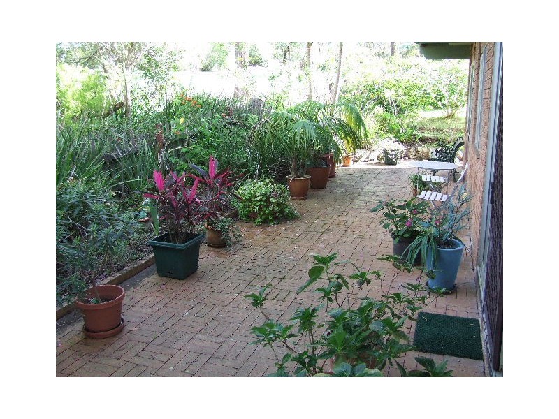 37 Queen Street, Balcolyn NSW 2264