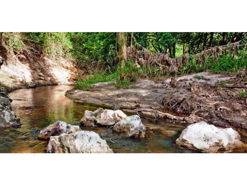 12 Mangifera Close, Wights Mountain QLD 4520