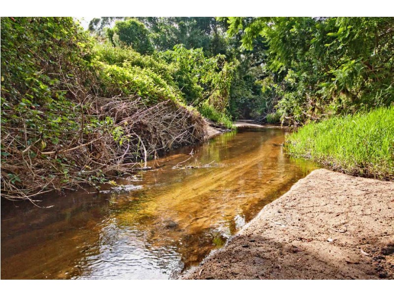 12 Mangifera Close, Wights Mountain QLD 4520