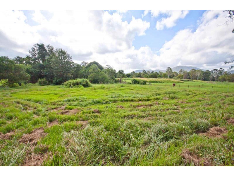 12 Mangifera Close, Wights Mountain QLD 4520