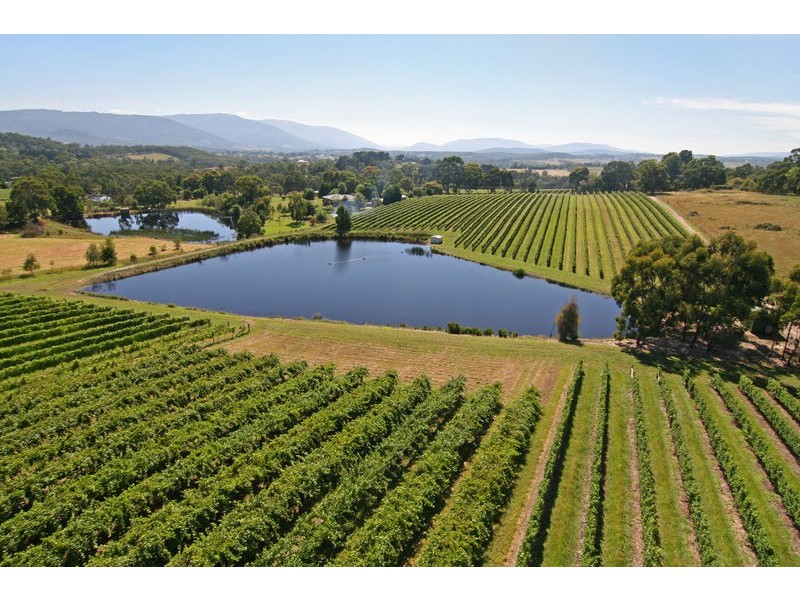 45 & 70 Davross Court, Seville VIC 3139