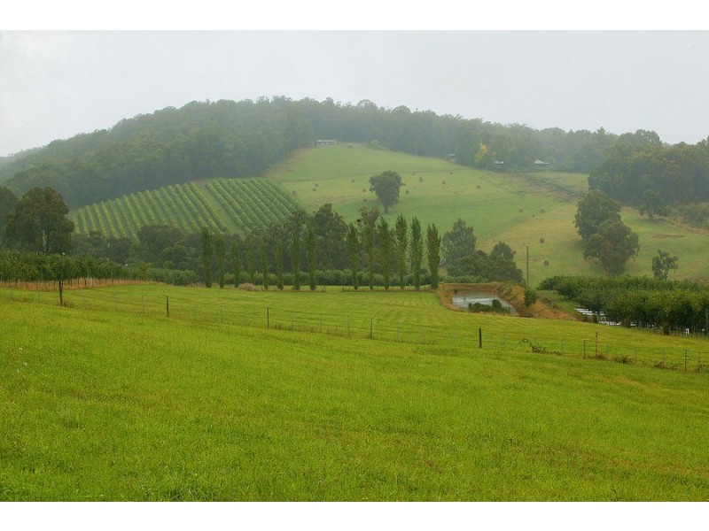 Hoddles Creek VIC 3139