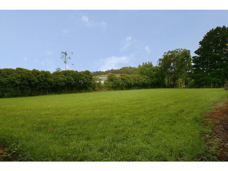 Hoddles Creek VIC 3139