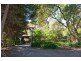 38 Browns Road, Montrose VIC 3765