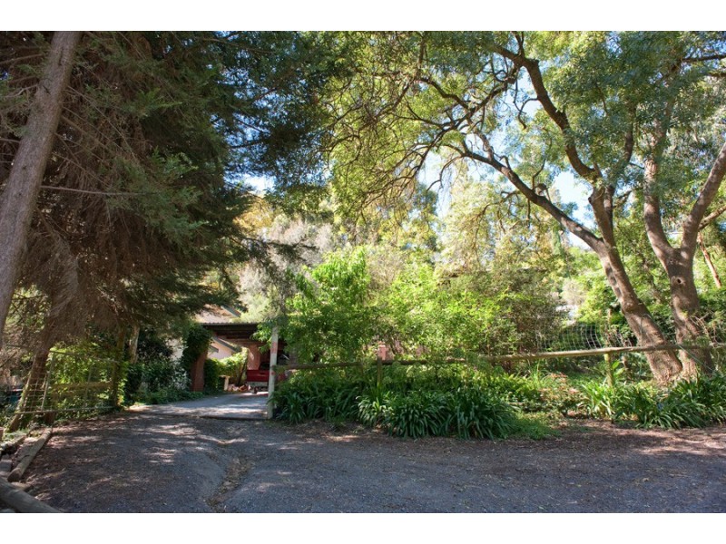 38 Browns Road, Montrose VIC 3765