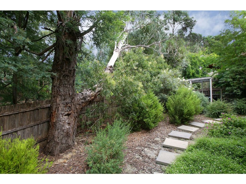 7 Jarrod Place, Croydon North VIC 3136