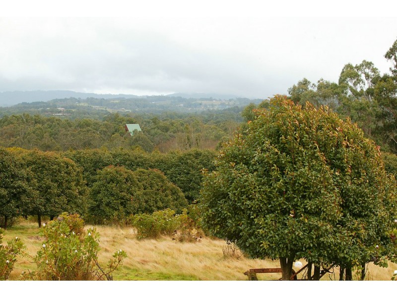 35 Angus Road, Yellingbo VIC 3139