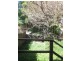 26 Bartlett Street, Summer Hill NSW 2130