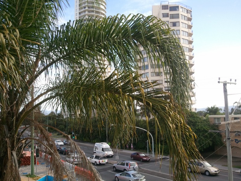 2913 Gold Coast Hwy, Surfers Paradise QLD 4217