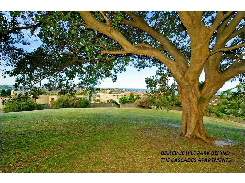 201/1-3 Banksia Road, Bellevue Hill NSW 2023