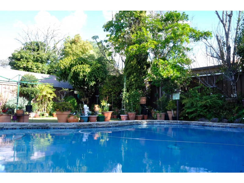 32 BERRILLE ROAD, Narwee NSW 2209