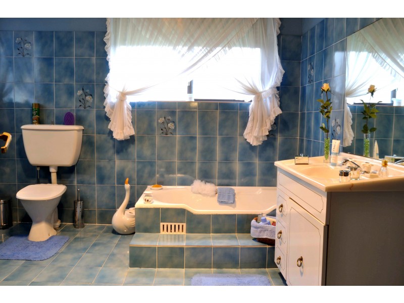 31 Junction Road, Beverly Hills NSW 2209