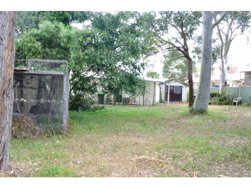 246 Penshurst Street, Beverly Hills NSW 2209