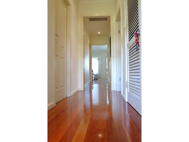 54 Armitree Street, Kingsgrove NSW 2208