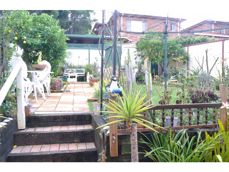 11 Grove Ave, Narwee NSW 2209