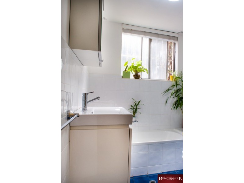 3/56-58 SECOND AVE, Campsie NSW 2194