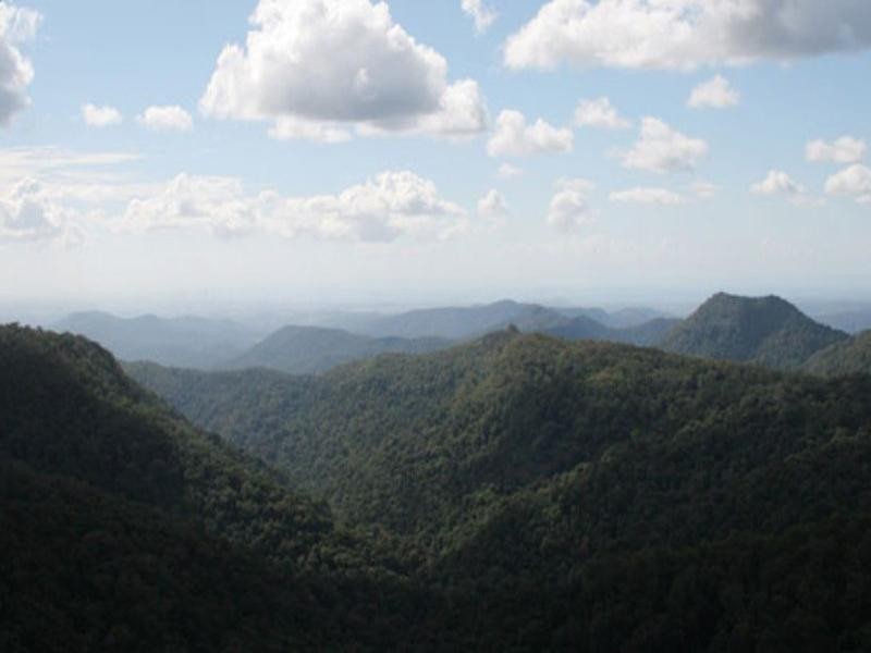 10 Austinville Road, Austinville QLD 4213