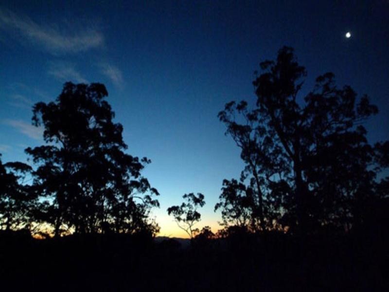 10 Austinville Road, Austinville QLD 4213