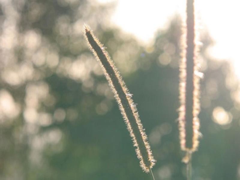 10 Austinville Road, Austinville QLD 4213