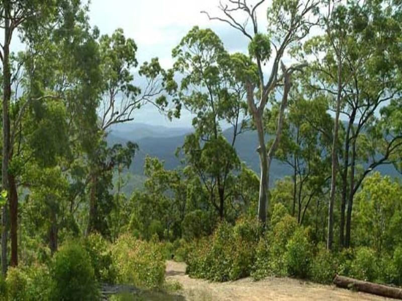 10 Austinville Road, Austinville QLD 4213