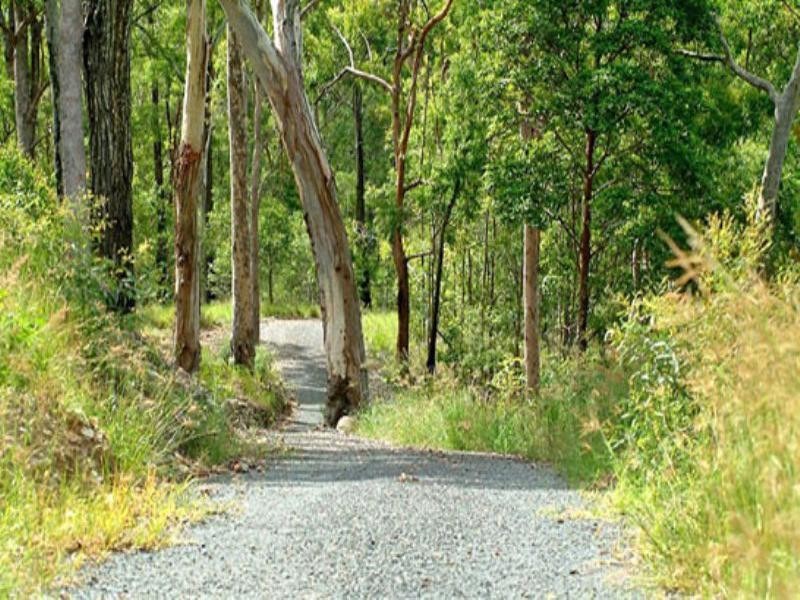 10 Austinville Road, Austinville QLD 4213